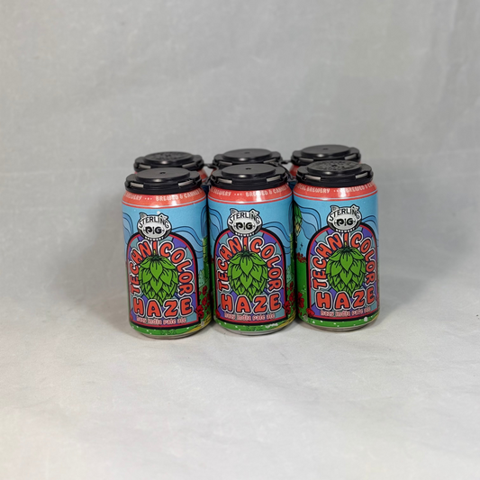 Pack 6 Technicolor Haze IPA